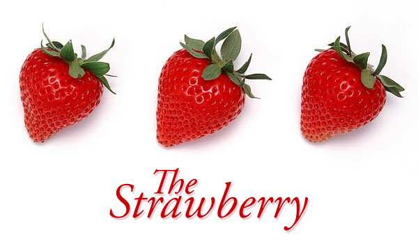 The Strawberries organic