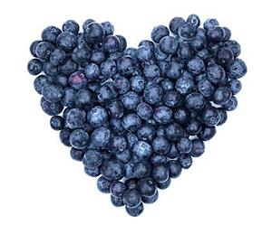 laura-dunn-fabulous365-blueberries-3