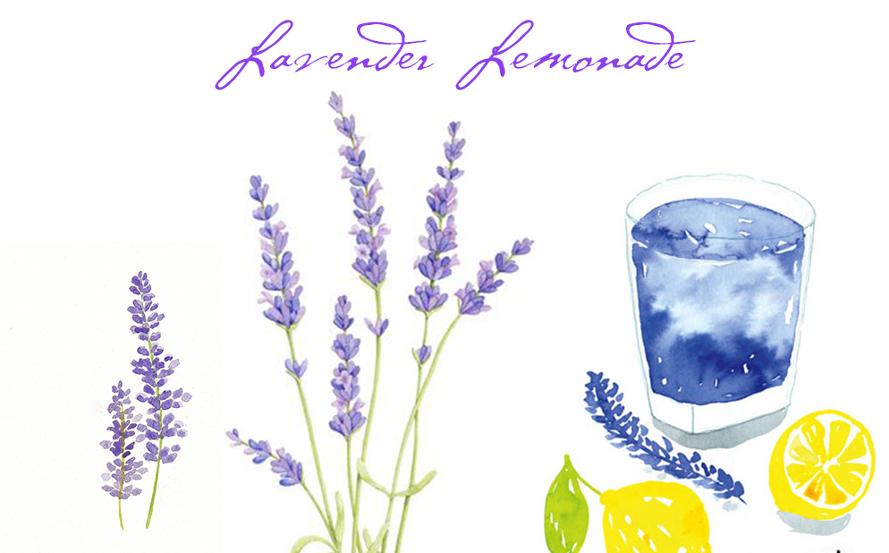 Laura-Dunn-Lemonade Day-lavender-lemonade