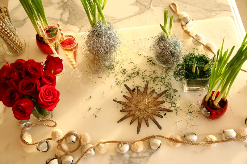 Laura-Dunn-Louis-Vuitton-wallet-Paperwhite -bulbs-flower-Nest-canlde-grapefruit-fragrance-Letts-agenda-Happy-New-Year