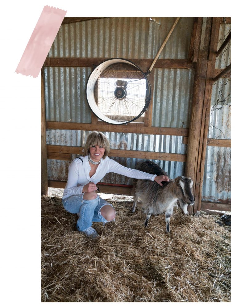 Luxury Gives Back The Sanctuary at Soledad Laura Dunn Luxury