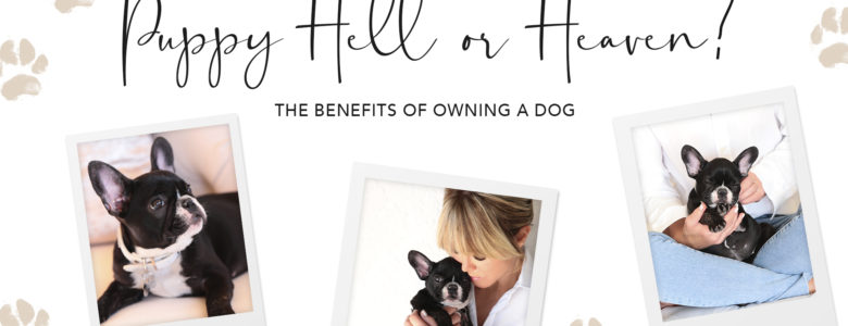Puppy Heaven or Hell | The Benefits of Owning a Dog | Laura Dunn Luxury